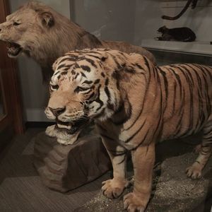 Meet your Posher, Weijuh